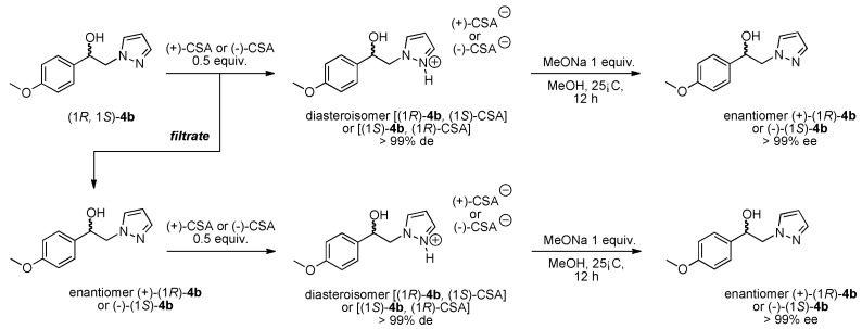 Scheme 2