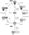 Fig. 1