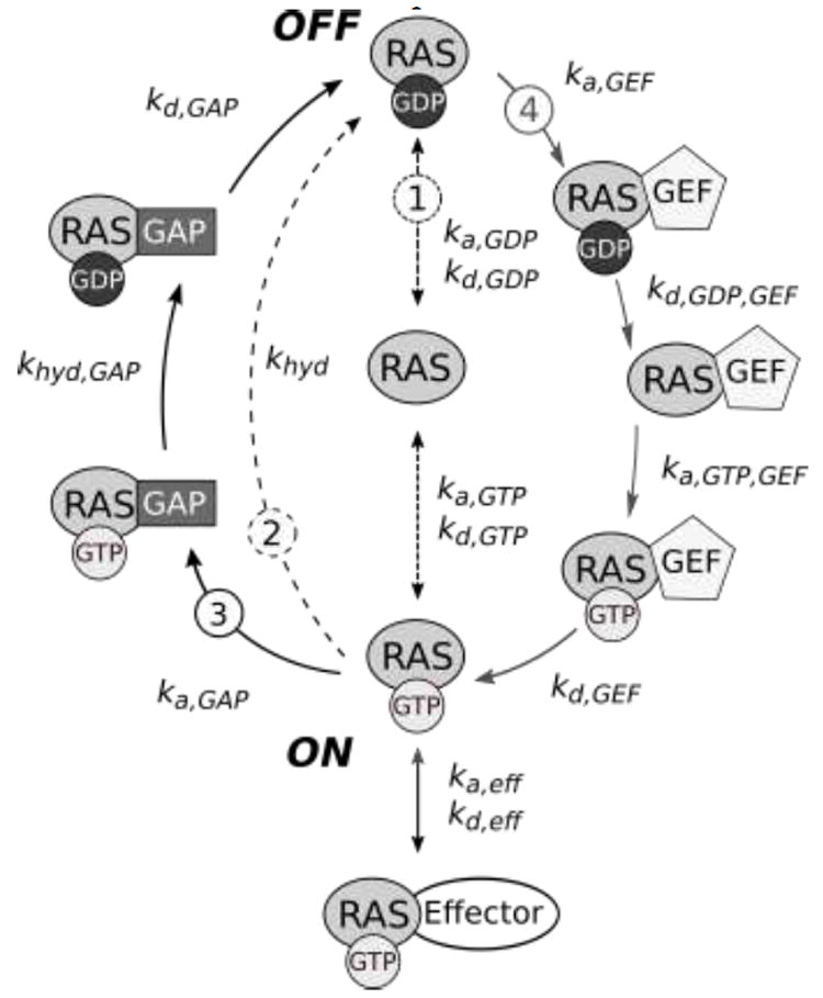 Fig. 1