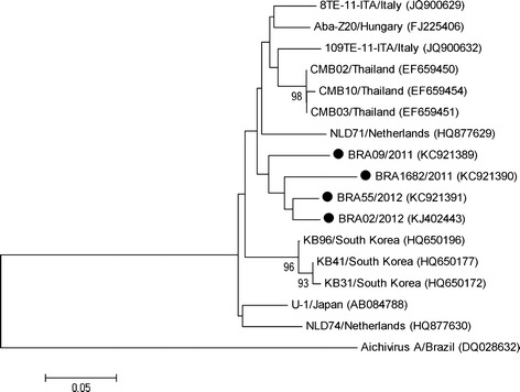 Fig. 1