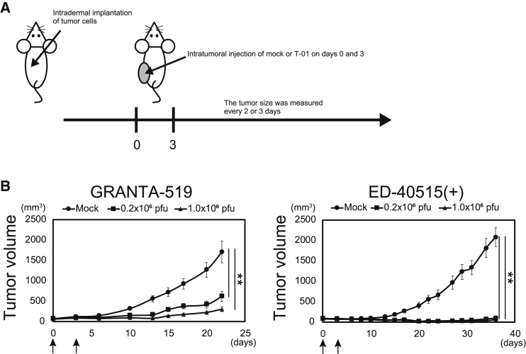 Figure 6