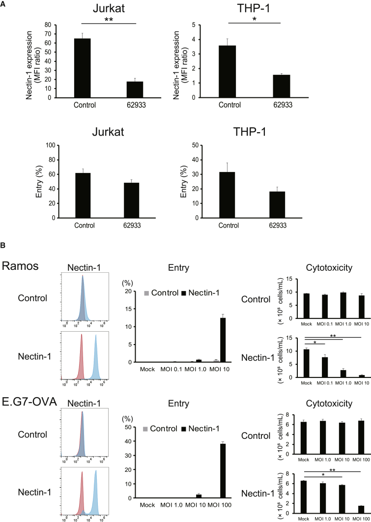 Figure 5