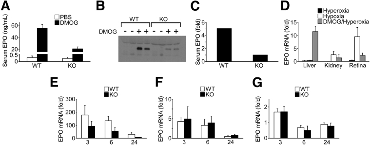 Figure 5