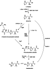 Fig. 2