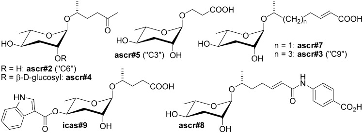 Fig. 1.