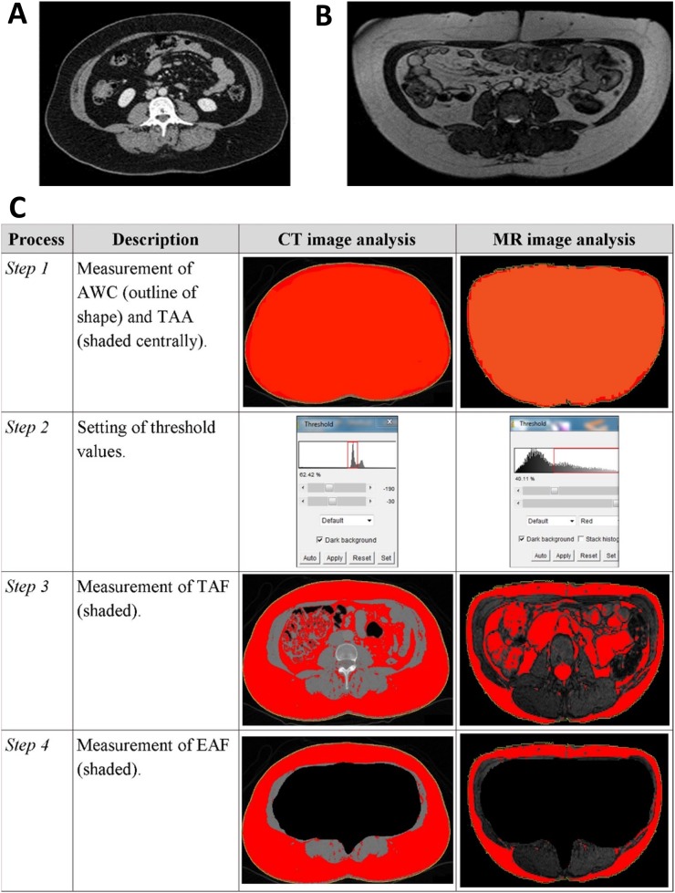 Figure 3.