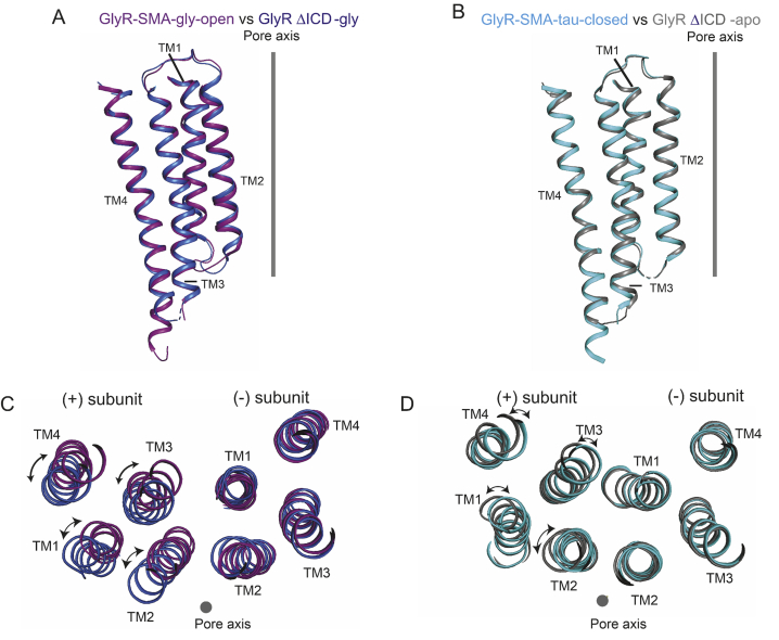 Figure 6