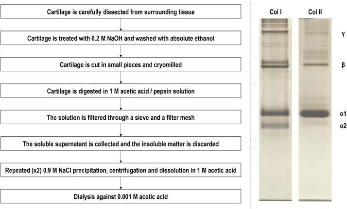 Fig. 2: