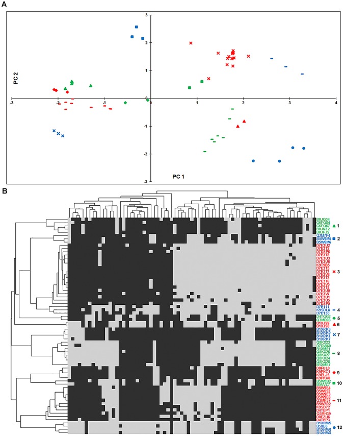 Fig 6