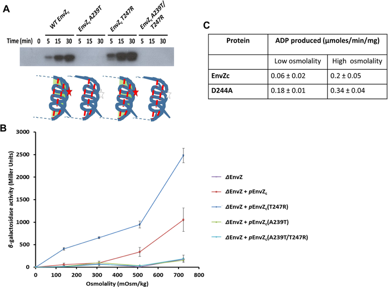 Figure 4: