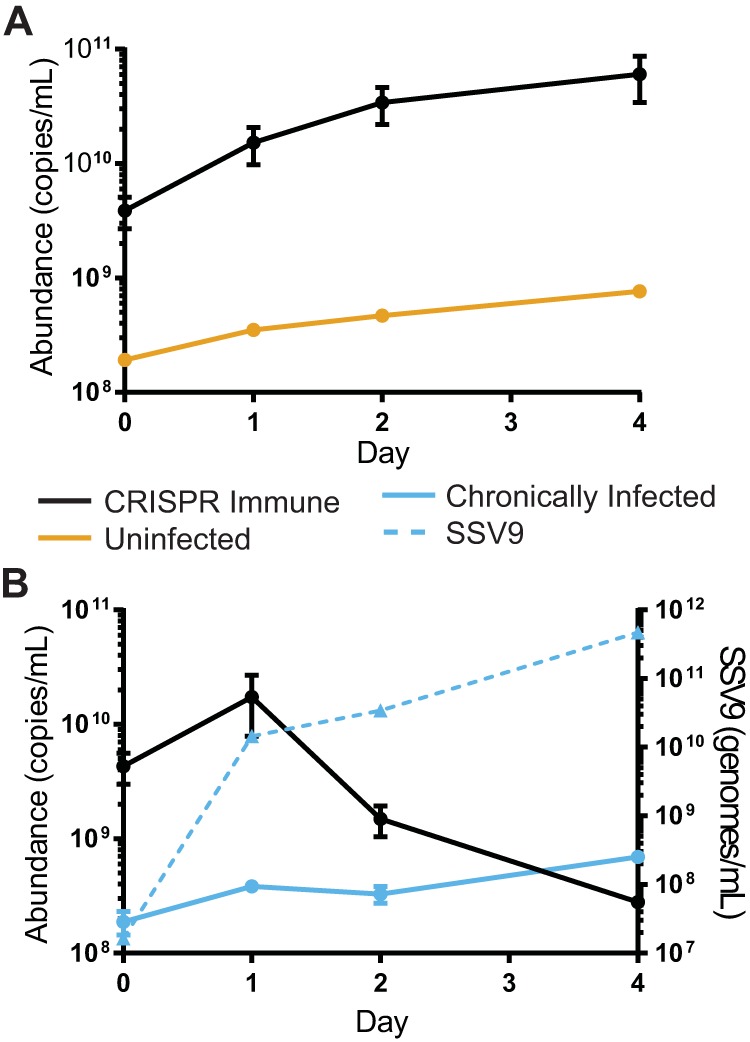 FIG 4