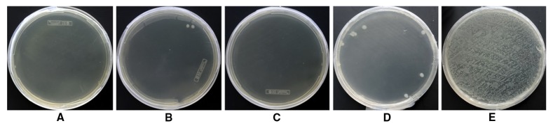 Figure 23