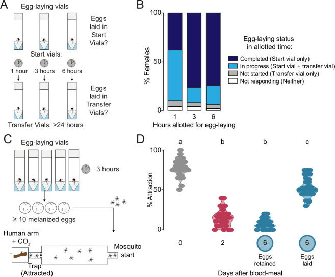 Figure 1—figure supplement 1.