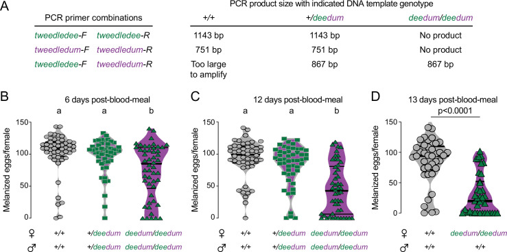 Figure 6—figure supplement 1.