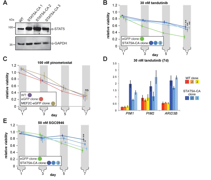 Figure 5—figure supplement 1.