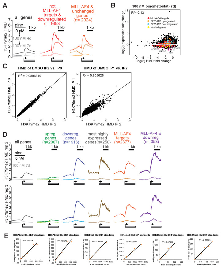 Figure 3—figure supplement 1.