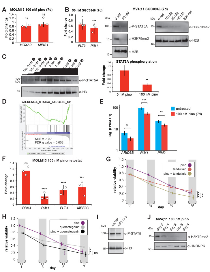 Figure 4—figure supplement 1.