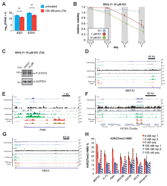 Figure 6—figure supplement 1.