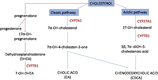 Figure 1