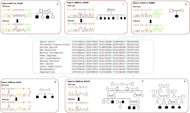 Figure 2