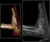 Fig. 8