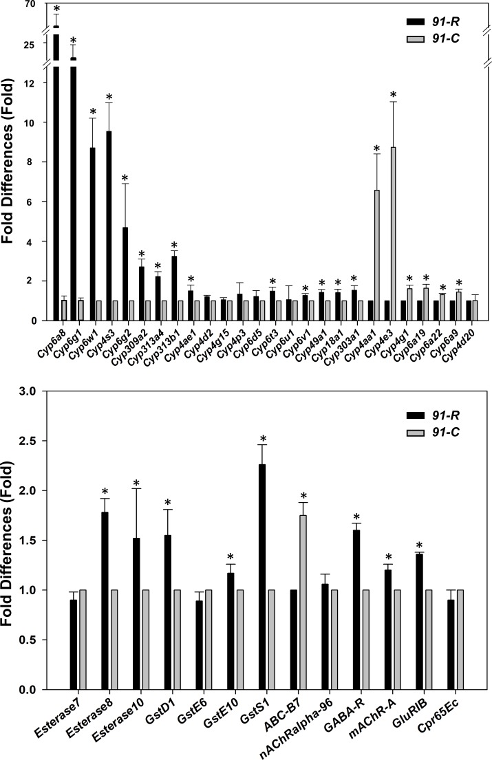 Fig 4