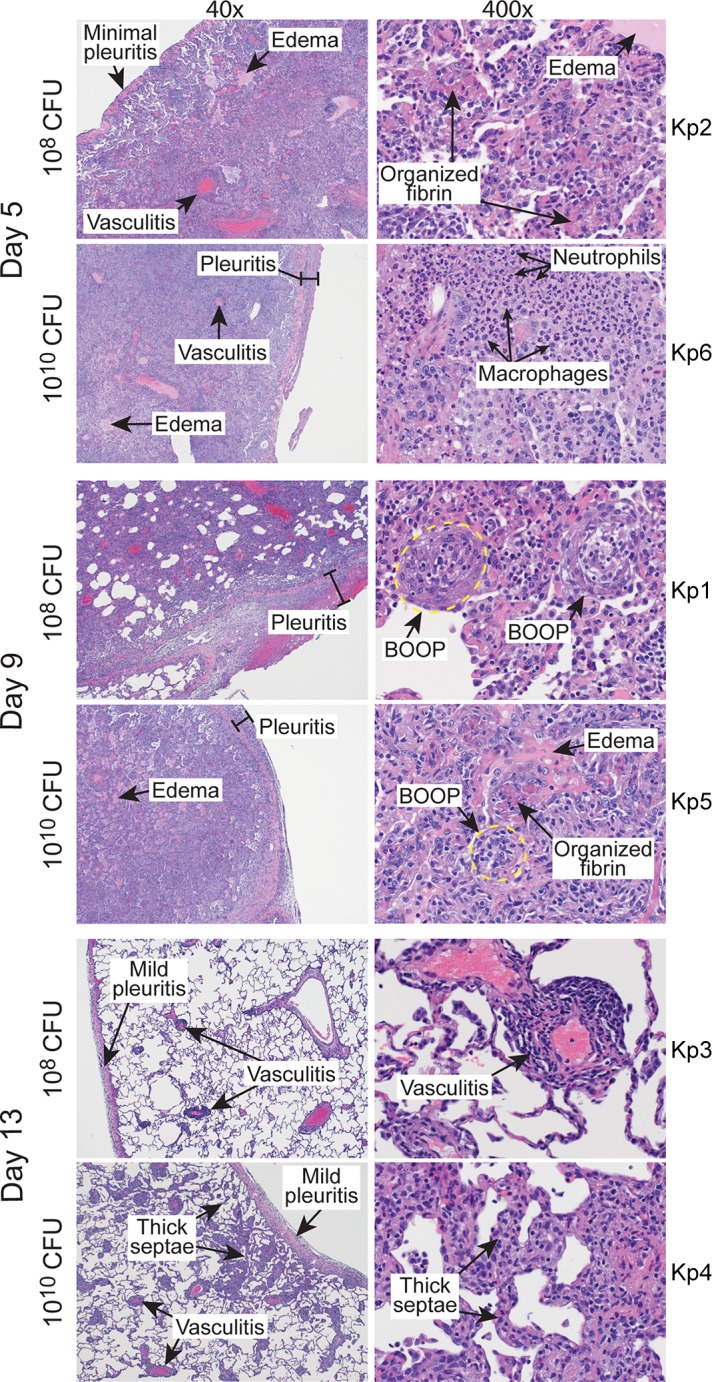 FIG 2