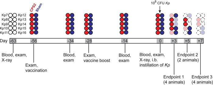 FIG 3