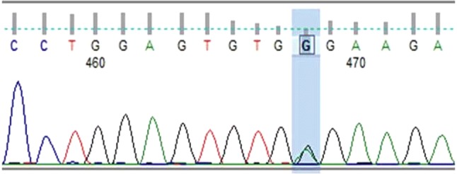 Fig. 2