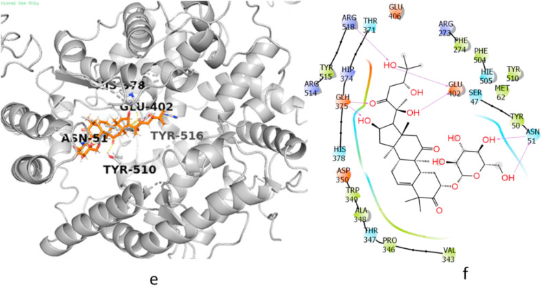 Fig. 2c