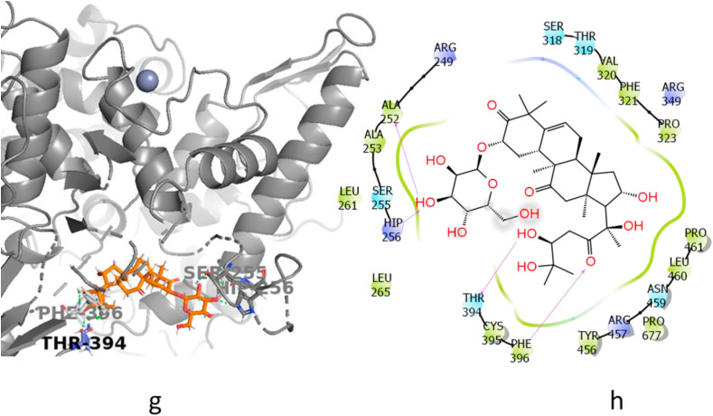 Fig. 2d