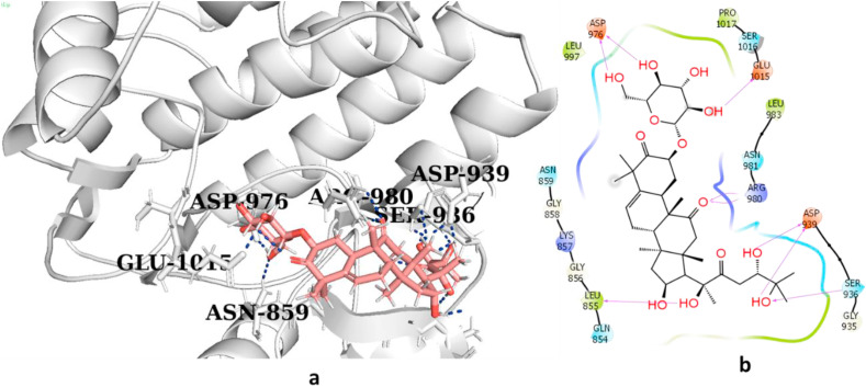 Fig. 2a