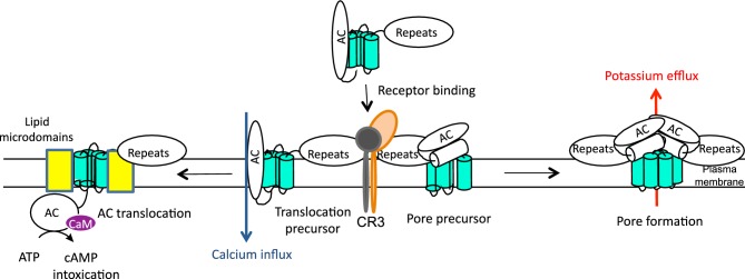 Figure 2.