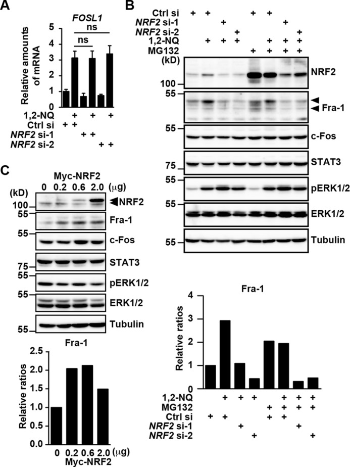 FIGURE 7.