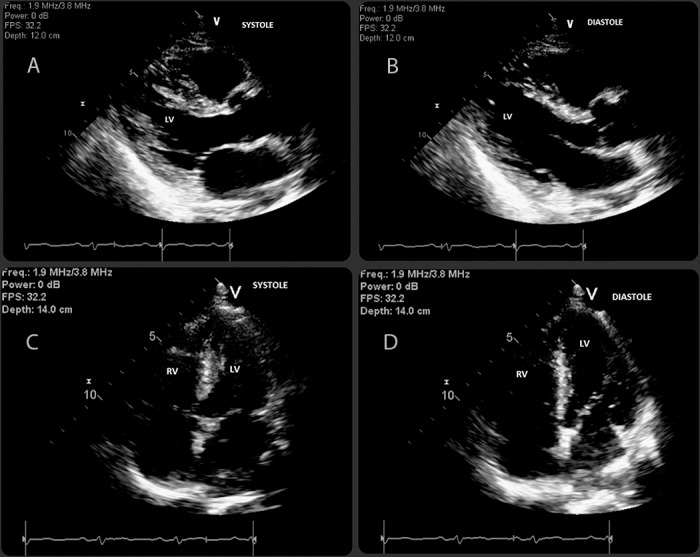 Figure 2.