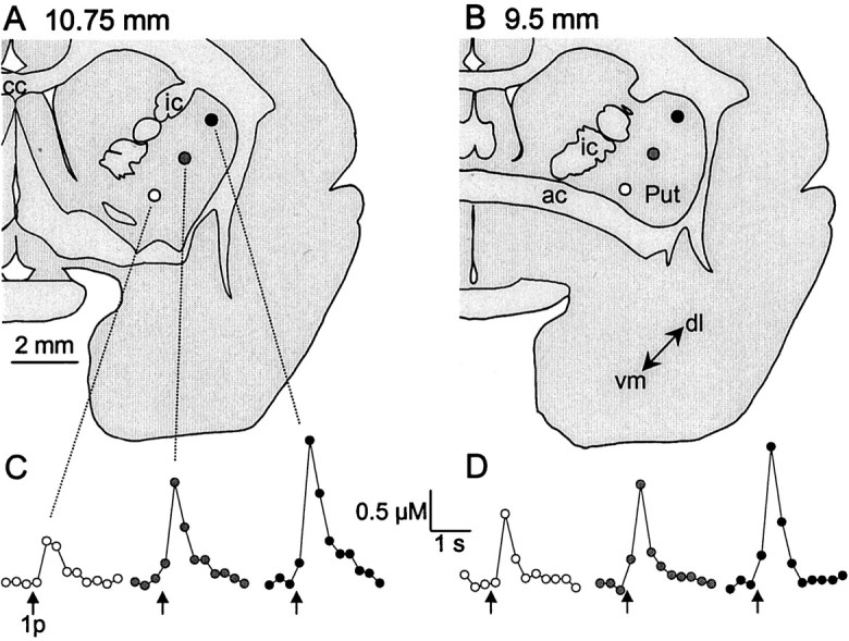 Fig. 2.