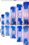 Figure 1—figure supplement 6.