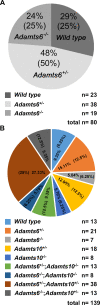 Figure 1—figure supplement 2.