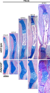 Figure 1—figure supplement 8.