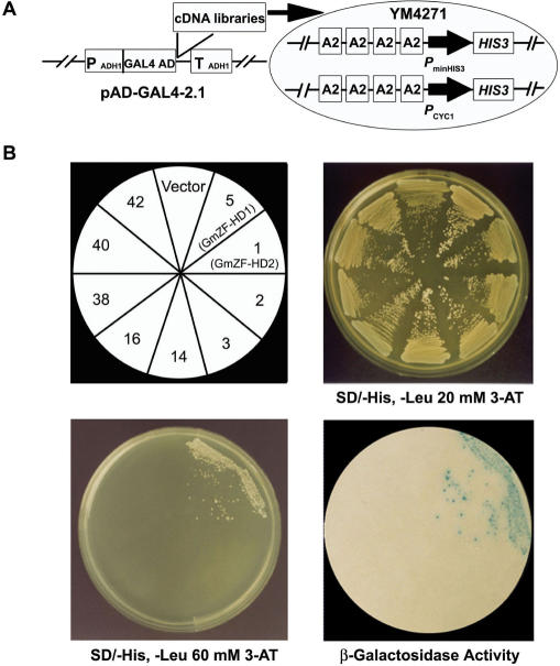 Figure 3.