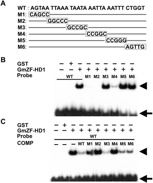 Figure 7.