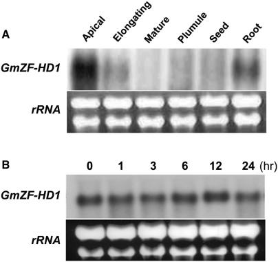 Figure 5.