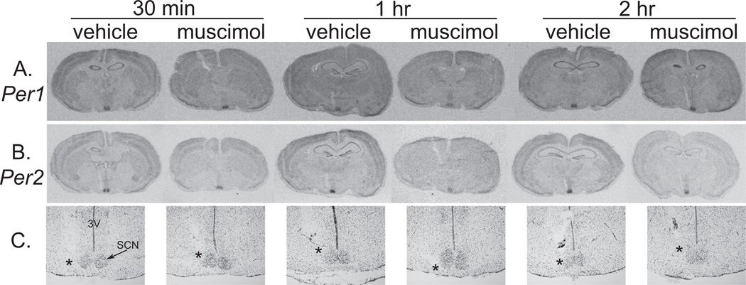 Fig. 11