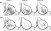 Fig. 9