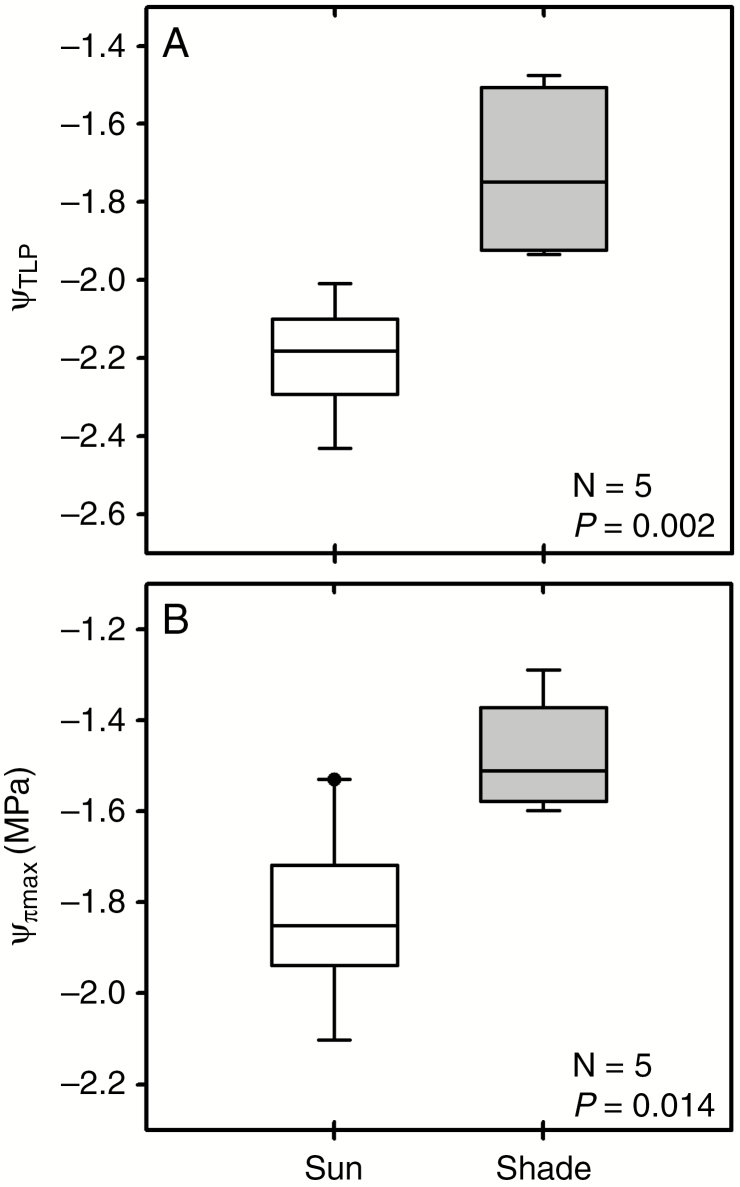 Fig. 5.