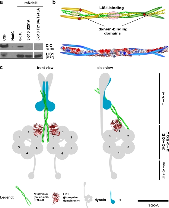 Figure 6.