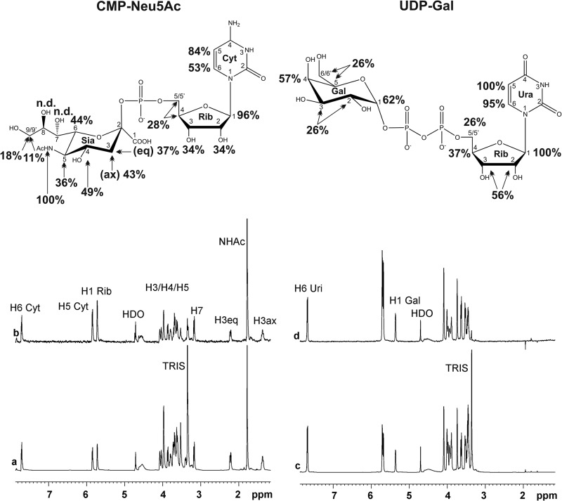 FIGURE 7.