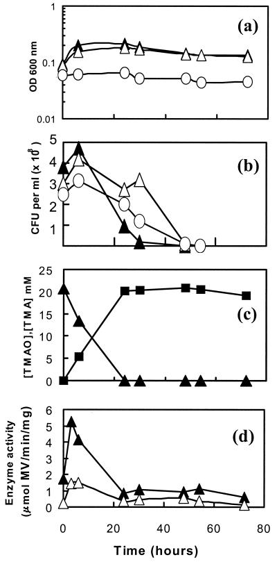 FIG. 5.