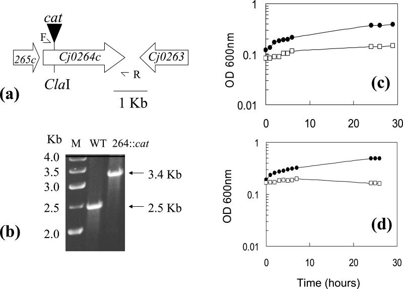 FIG. 7.