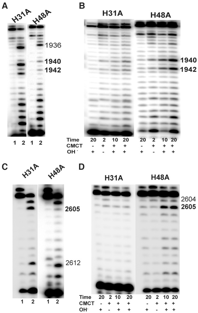 FIGURE 4.